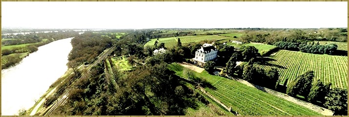 Domaine